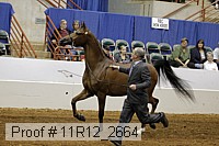 11r12_2664 proof