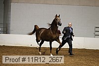 11r12_2667 proof