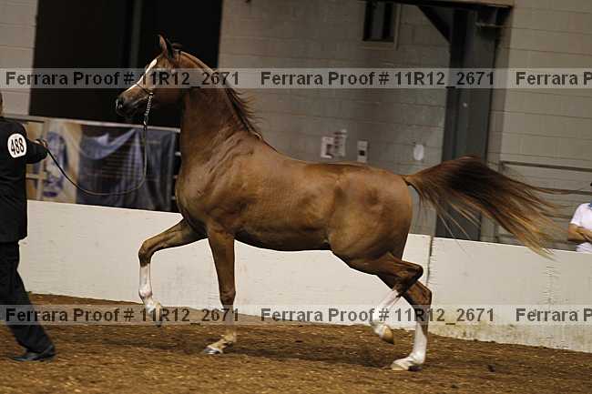 Proof 11r12_2671