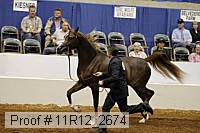 11r12_2674 proof