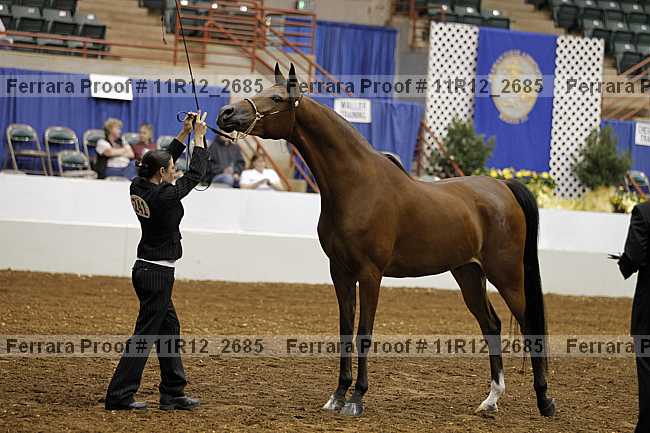 Proof 11r12_2685