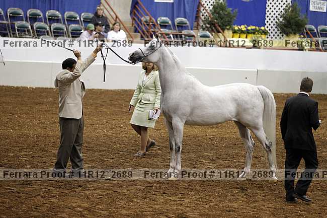 Proof 11r12_2689