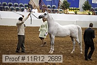 11r12_2689 proof