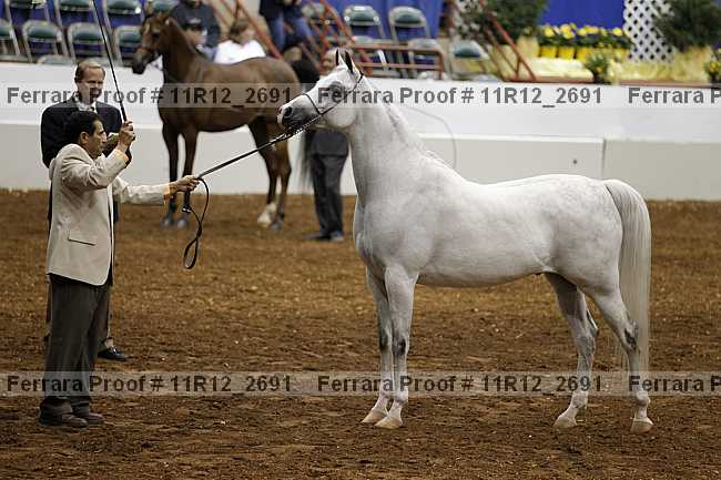 Proof 11r12_2691