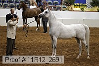 11r12_2691 proof