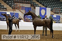 11r12_2695 proof