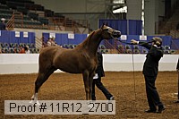 11r12_2700 proof