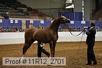 11r12_2701 proof
