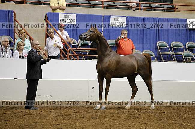 Proof 11r12_2702
