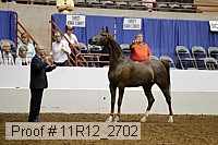 11r12_2702 proof