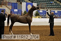 11r12_2704 proof