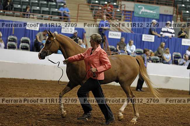Proof 11r12_2709