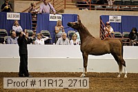 11r12_2710 proof