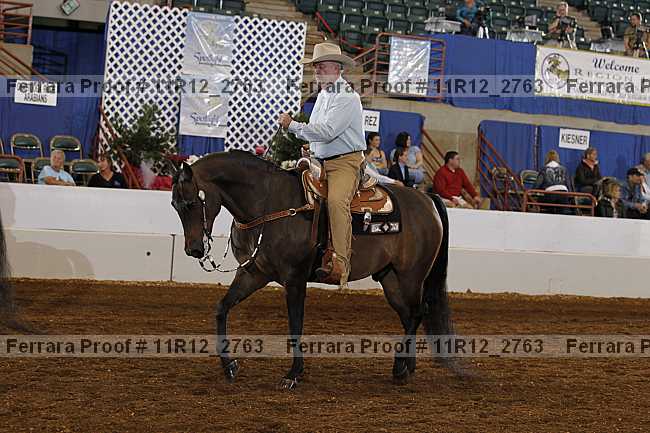 Proof 11r12_2763