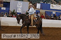 11r12_2763 proof