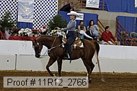 11r12_2766 proof
