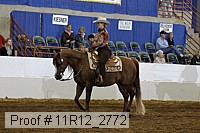11r12_2772 proof