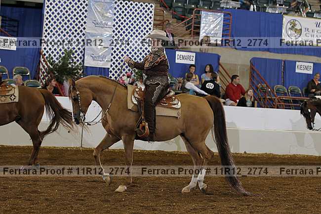 Proof 11r12_2774