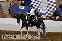11r12_2779 proof