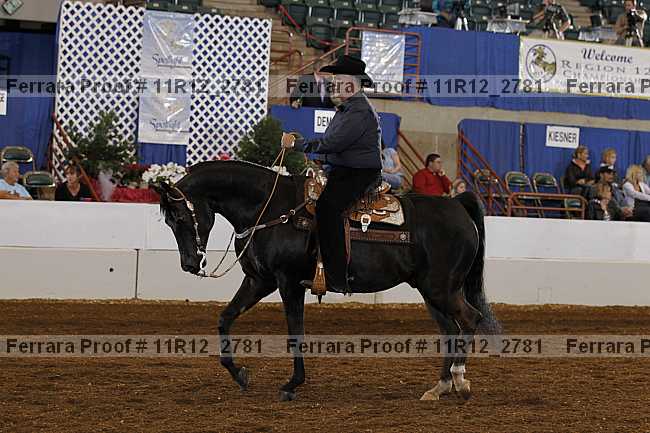 Proof 11r12_2781
