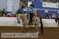 11r12_2783 proof