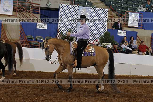 Proof 11r12_2786