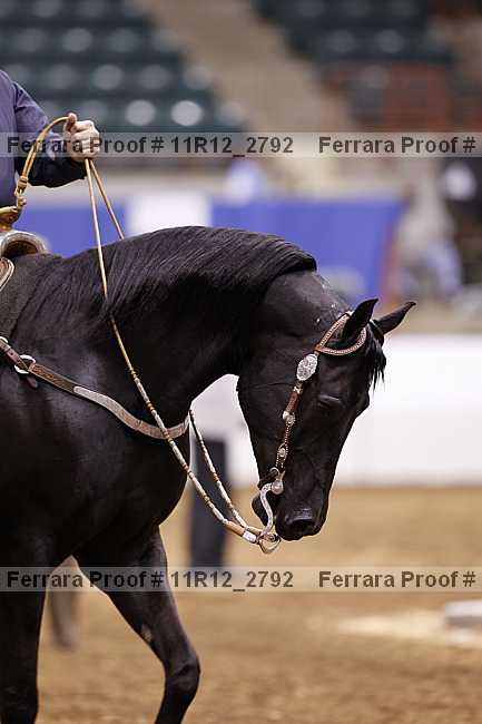 Proof 11r12_2792