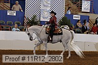 11r12_2802 proof