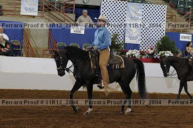 Proof 11r12_2804