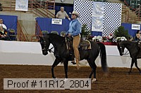 11r12_2804 proof