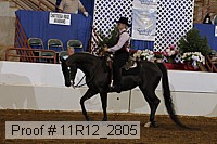 11r12_2805 proof