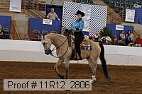 11r12_2806 proof