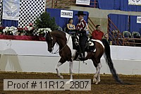 11r12_2807 proof