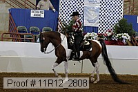 11r12_2808 proof