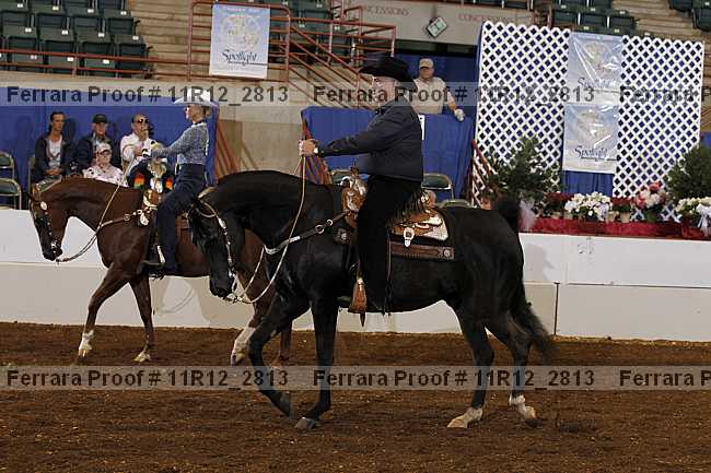 Proof 11r12_2813