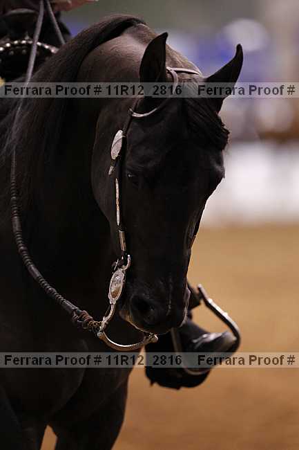 Proof 11r12_2816