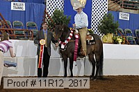 11r12_2817 proof