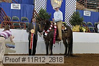 11r12_2818 proof