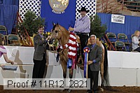 11r12_2821 proof