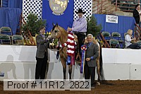 11r12_2822 proof