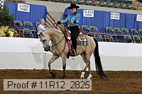 11r12_2825 proof