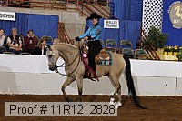 11r12_2828 proof