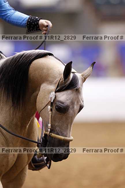 Proof 11r12_2829