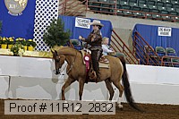 11r12_2832 proof