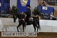 11r12_2834 proof