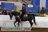 11r12_2836 proof