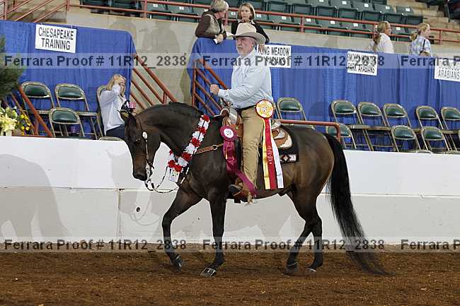 Proof 11r12_2838