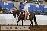 11r12_2838 proof