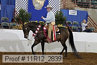 11r12_2839 proof