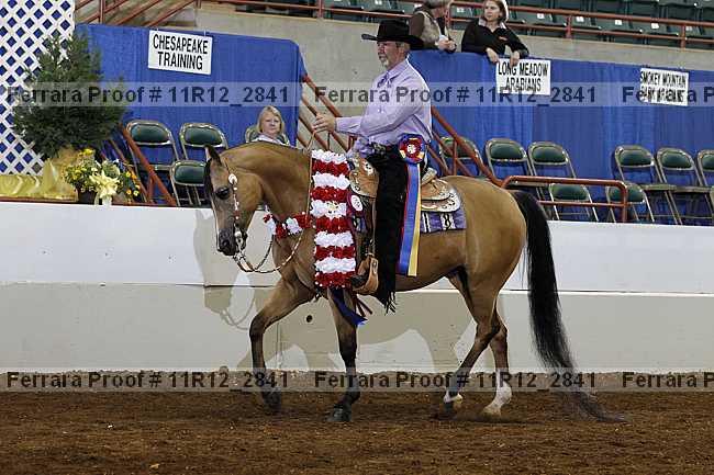 Proof 11r12_2841